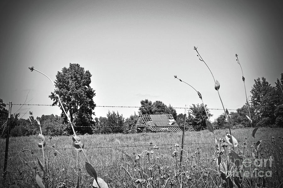 Texas Forgotten - Roadside Country Barn II - BW Photograph by Chris Andruskiewicz