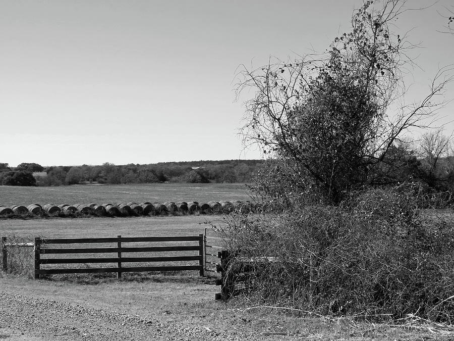 Texas Hay Bales In Winter Bw Photograph