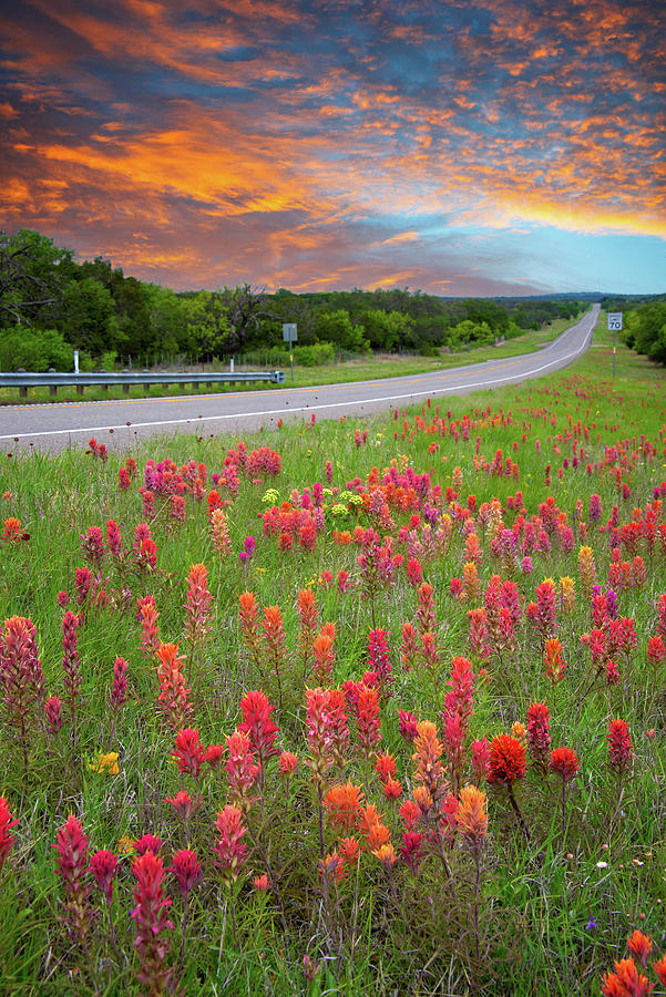 Texas Highways Bliss Photograph by Lynn Bauer