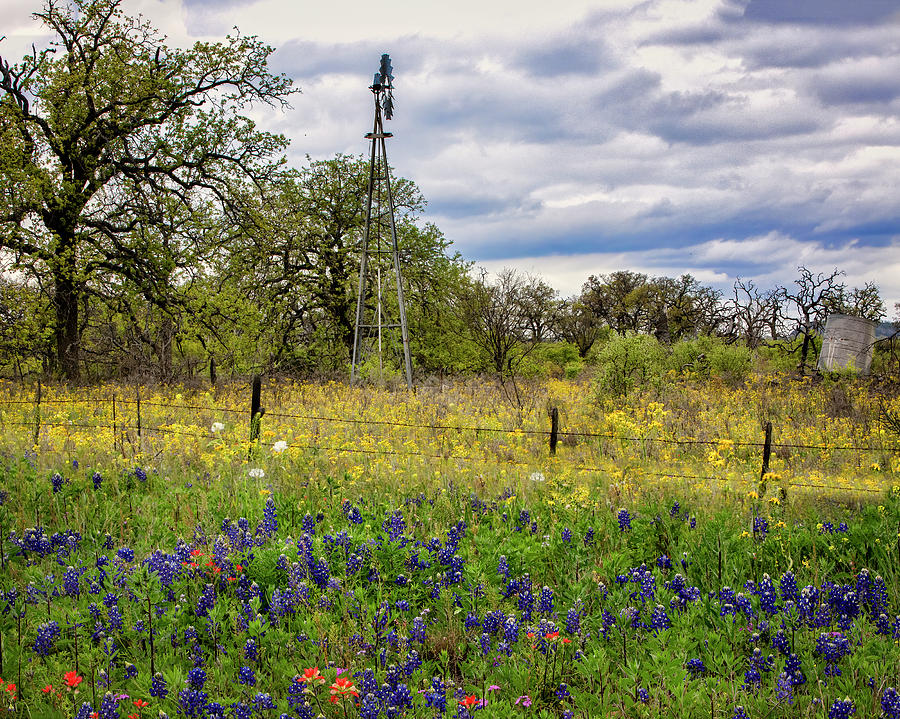 Texas Hill Country 2252 by Harriet Feagin Texas Hill Country 2252 by Harriet Feagin