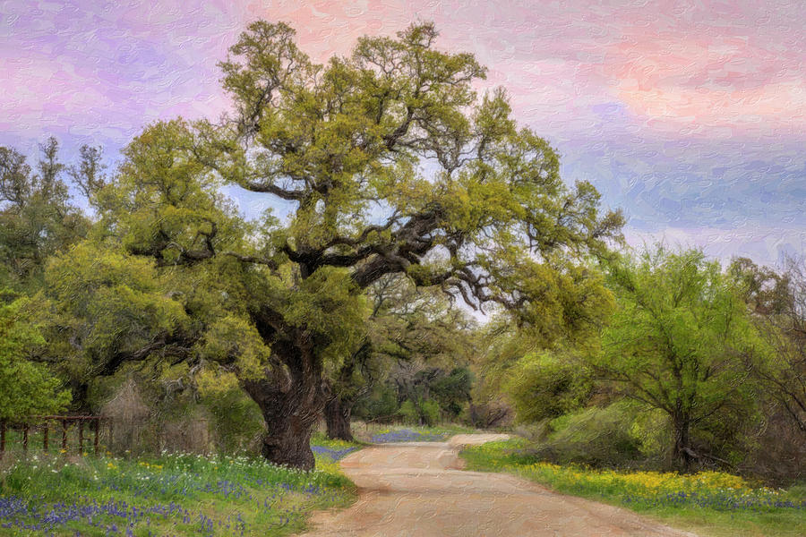 Texas Hill Country Impasto  Photograph by Harriet Feagin