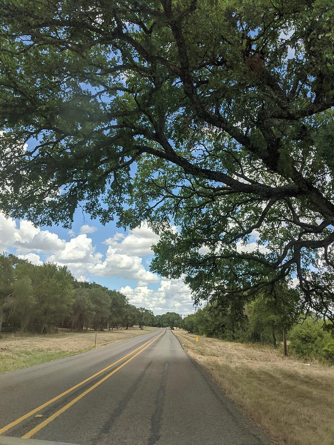Texas Hill Country Live Oak Back Road Photograph by Kevin Milyo - Pixels