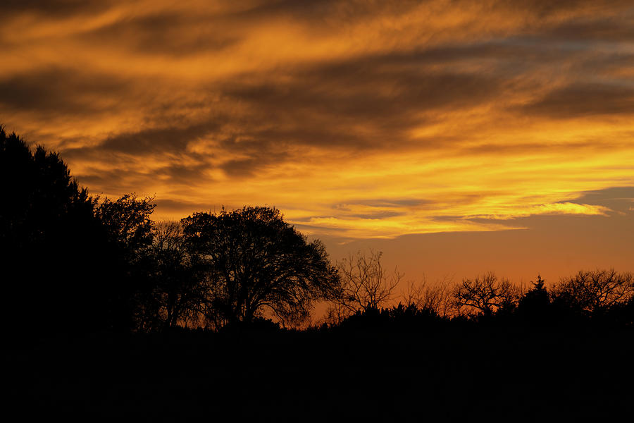 Texas Hill Country Sunset 2 Photograph by Ron Long Ltd Photography