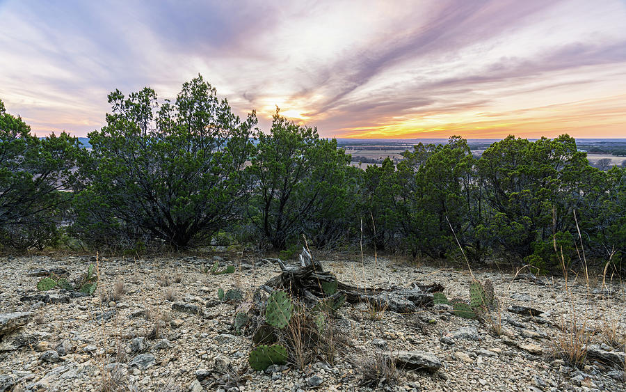 Texas Hill Country Sunset Photograph by Ron Long Ltd Photography