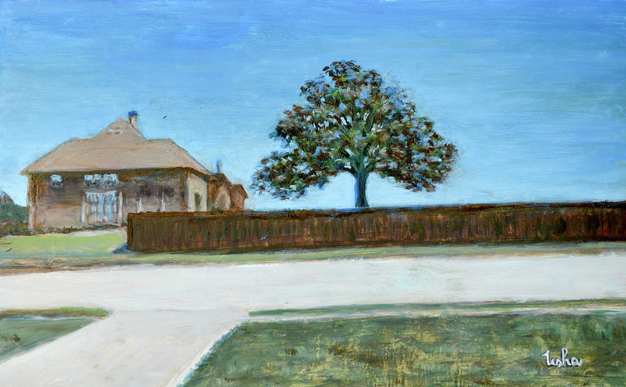 Texas Homes 3 Painting by Usha Shantharam