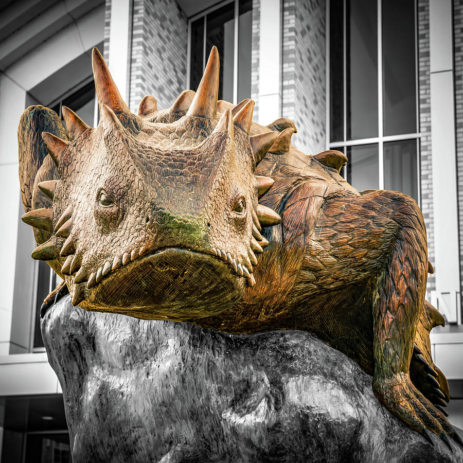 Texas Horned Frog Ready To Pounce - Selective Coloring Photograph by Gregory Ballos