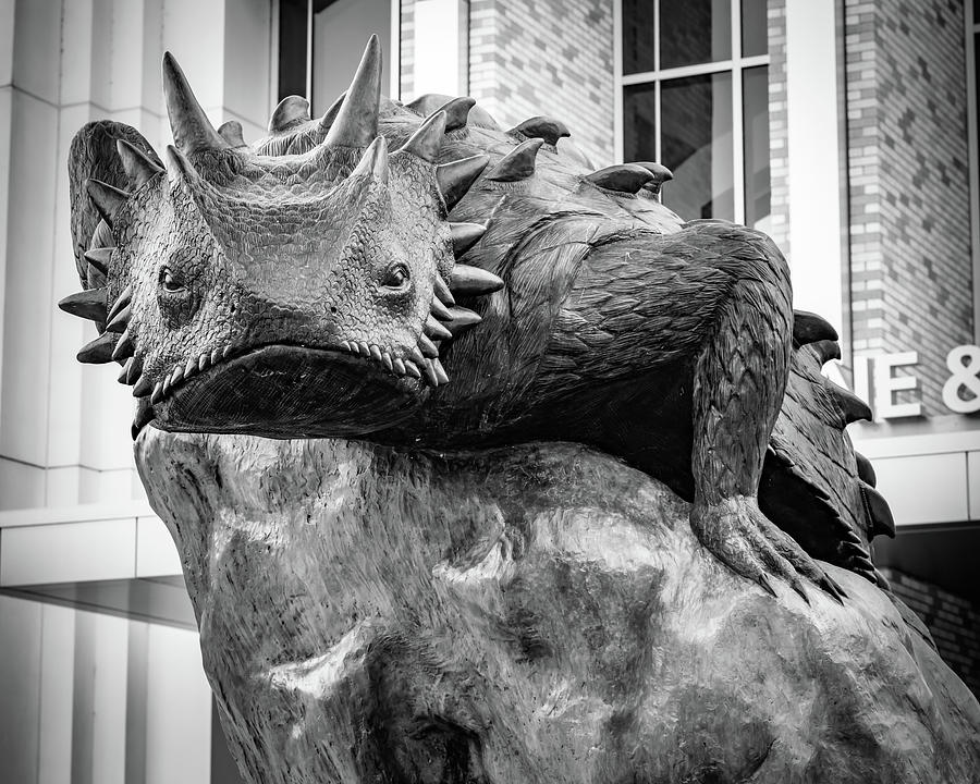 Texas Horned Frog Staring Contest - Black And White Photograph by Gregory Ballos