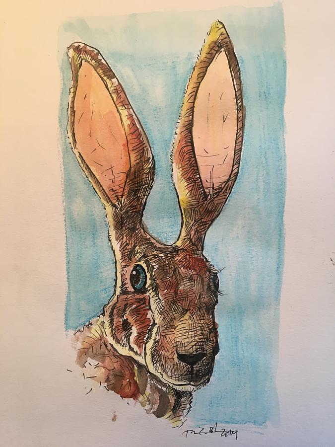 Texas Jack Rabbit Drawing by Travis Baker Pixels