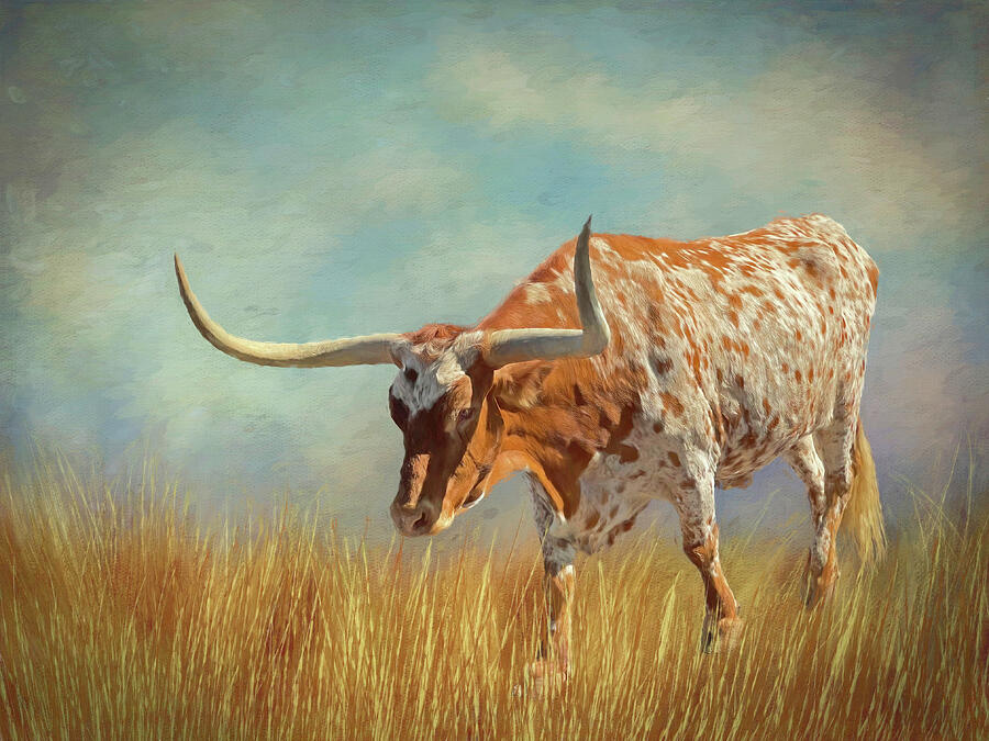 Texas Longhorn 1 Photograph by Judy Vincent