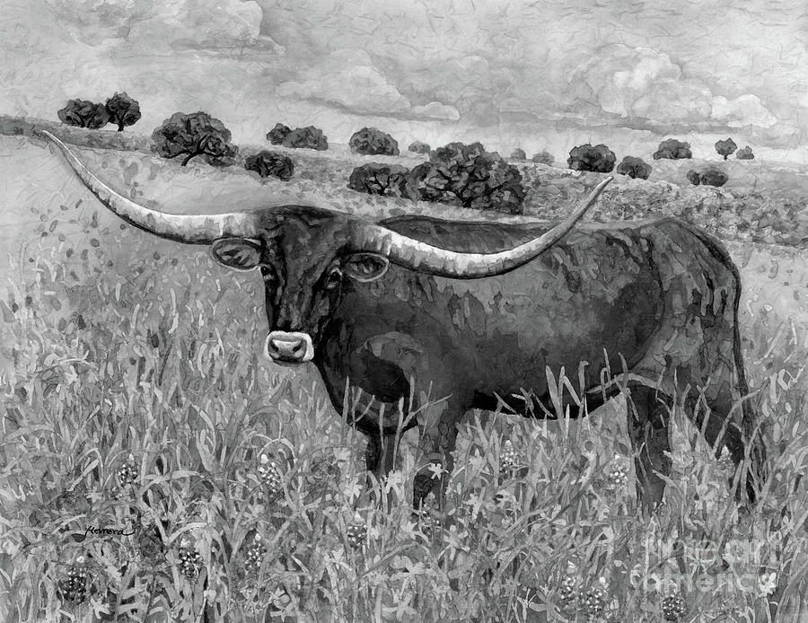 Texas Longhorn 2 In Black And White Painting