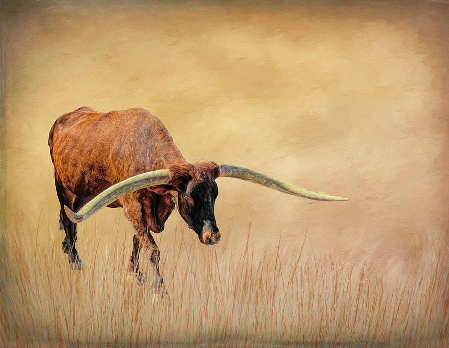 Texas Longhorn 2 Mixed Media by Judy Vincent