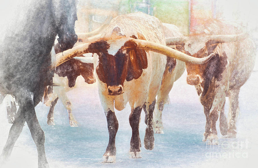 Texas Longhorn Painting by Andrea Anderegg