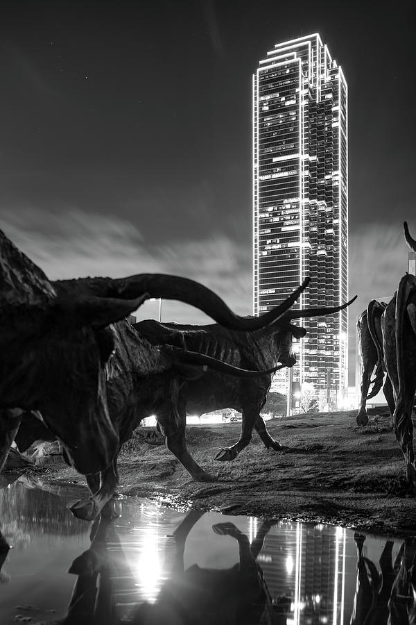 Black And White Photograph - Texas Longhorn Cattle Drive at Dallas Pioneer Plaza in Monochrome by Gregory Ballos