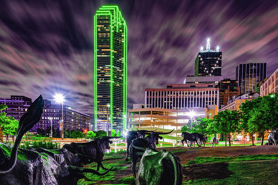 Dallas Skyline Photograph - Texas Longhorn Cattle Drive To the Dallas Skyline by Gregory Ballos