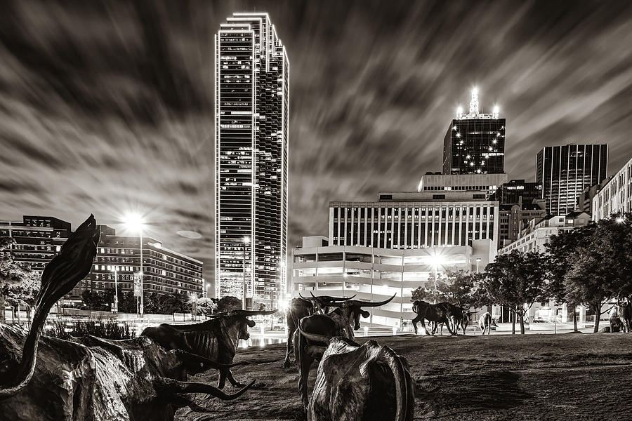 Dallas Skyline Photograph - Texas Longhorn Cattle Drive To the Dallas Skyline in Sepia by Gregory Ballos