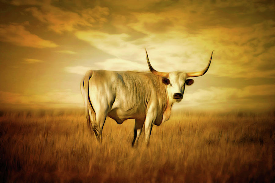 Cow Mixed Media - Texas Longhorn Eight by Ann Powell