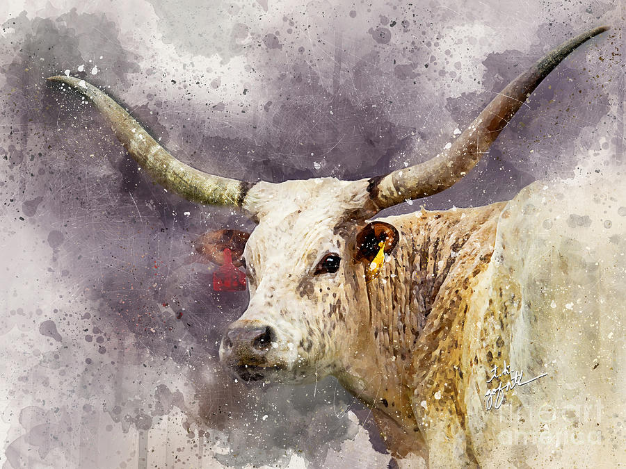 Texas Longhorn Fine Art Photography Photograph by TK Goforth