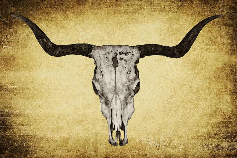 Texas Longhorn Skull Mixed Media by Mark Kiver Pixels