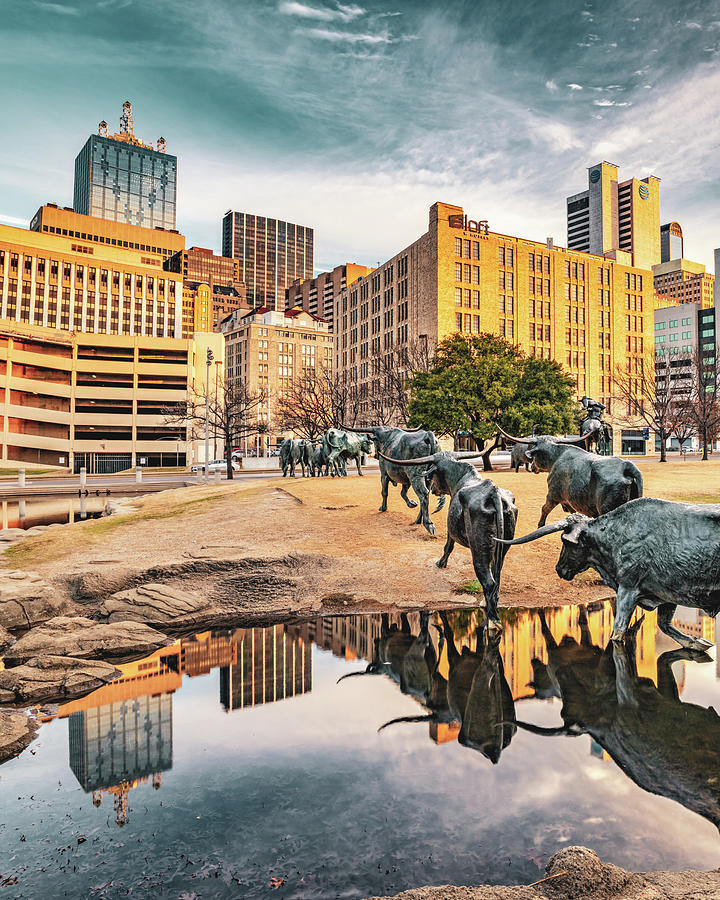 Texas Longhorns Cattle Drive And Dallas City Reflections Photograph by Gregory Ballos