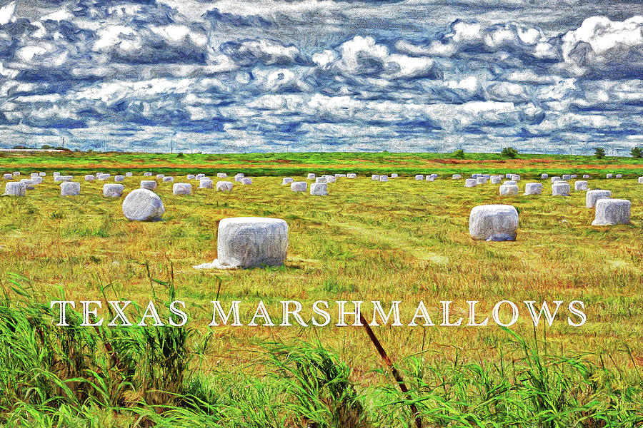 Texas Marshmallows-Digital Art Photograph by Steve Templeton