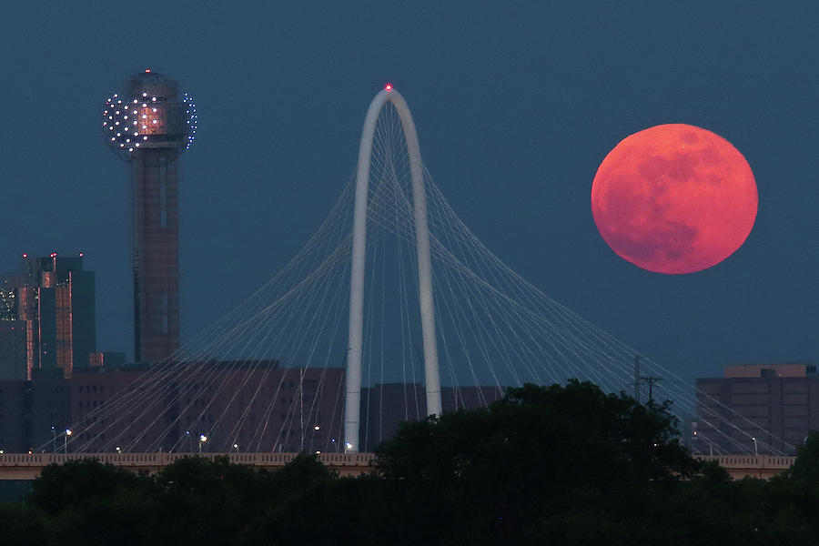 Texas Moon Photograph by Rick Perkins