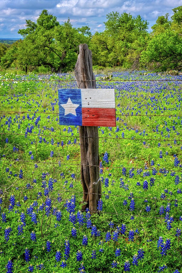 Texas Proud Photograph by Lynn Bauer