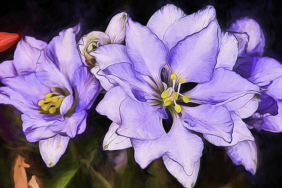 Texas Purple Wildflower Digital Art by JC Findley