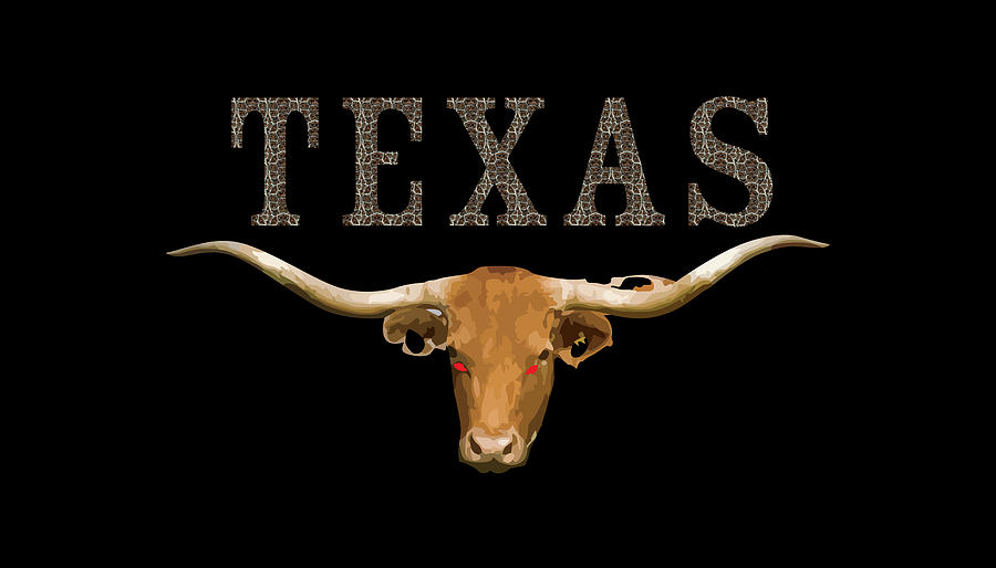 Texas - Rattler Skin -Texas Longhorn X 300 Digital Art by Tom Adkins ...