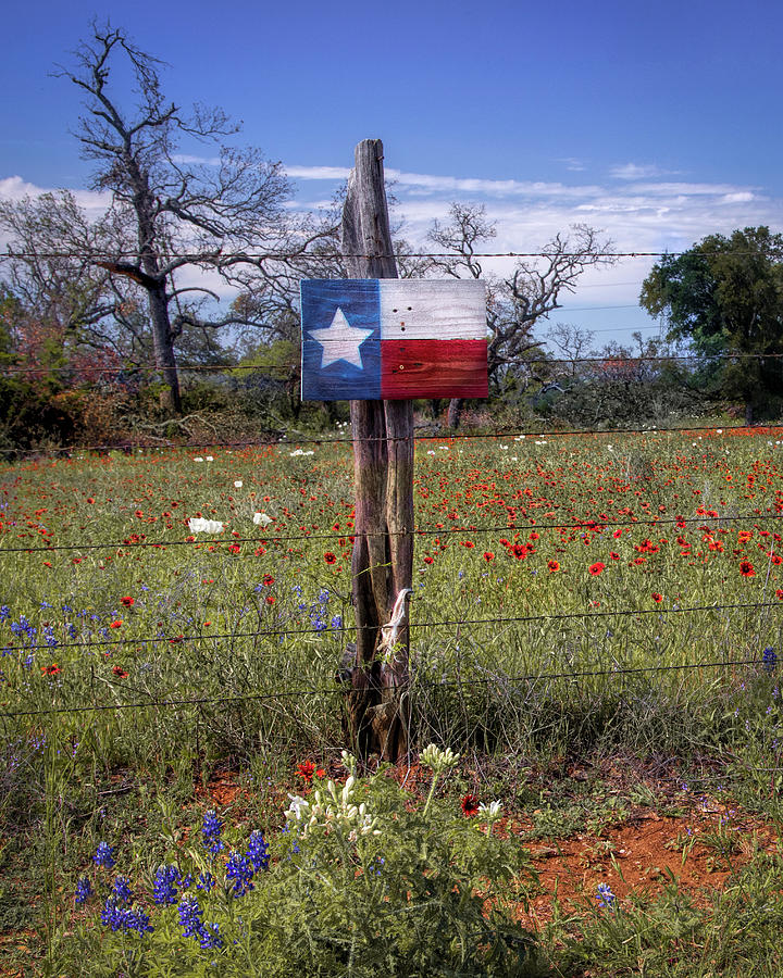 Texas Road Sign  Photograph by Harriet Feagin