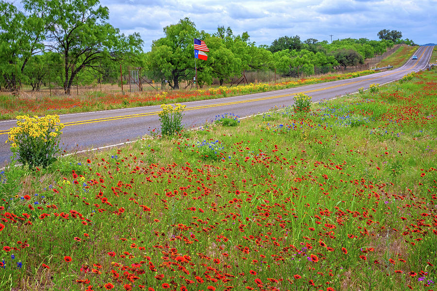 Texas Road Trippin Photograph by Lynn Bauer