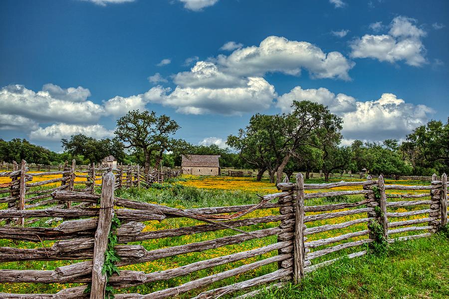 Texas Rustic Beauty Photograph by Mountain Dreams