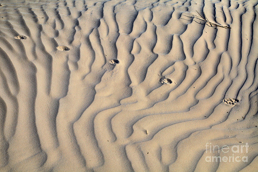Texas Sand Ripples Photograph by Adam Jewell