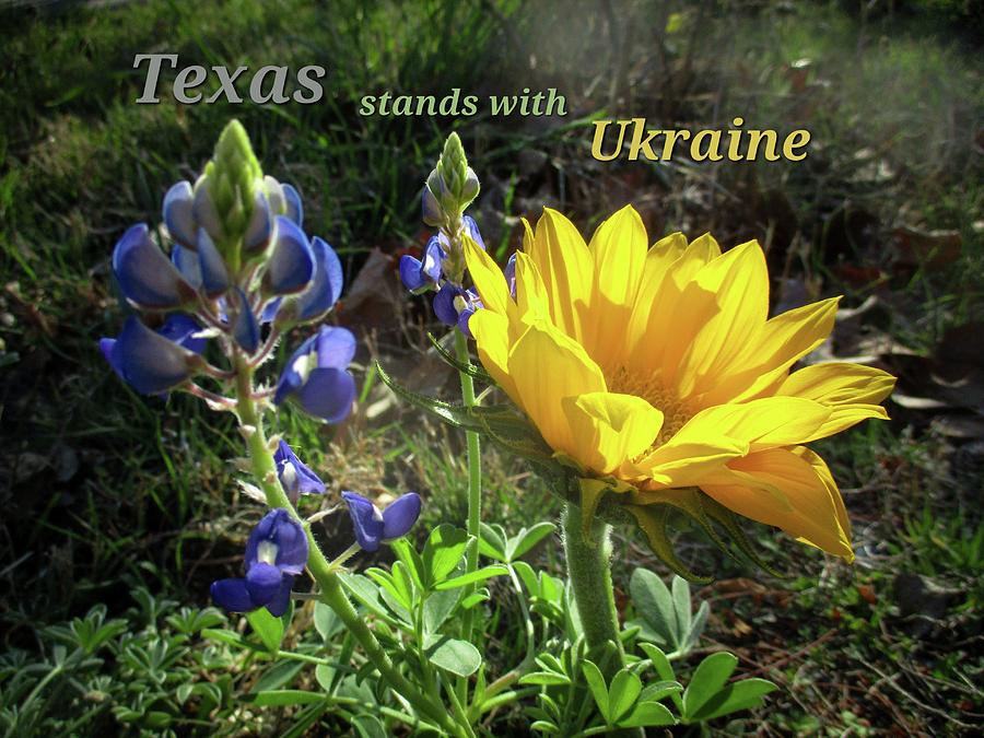 Texas Stands With Ukraine Photograph by W Craig Photography