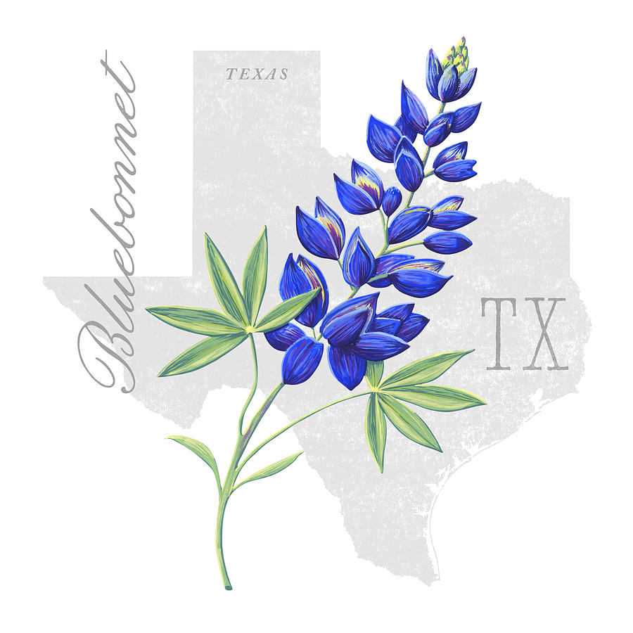 Texas State Flower Bluebonnet Art by Jen Montgomery Painting by Jen Montgomery
