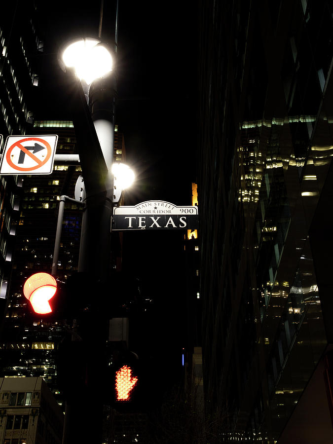 Texas Street Sign Photograph by Dan Sproul