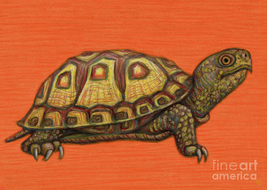 Texas Tortoise  Painting by Amy E Fraser