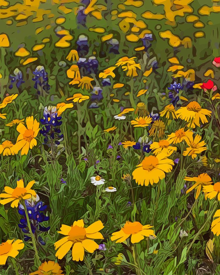 Texas Wild Flowers Photograph by Nancy Beardsley | Fine Art America