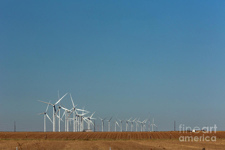 Texas Wind Farm Photograph by Jim West