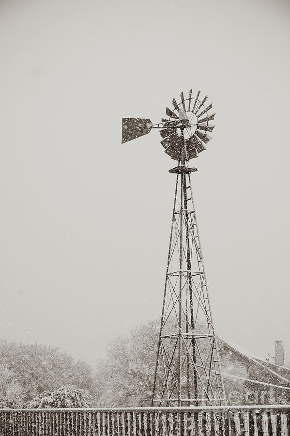 Texas Windmill Photograph by Pamela Steege