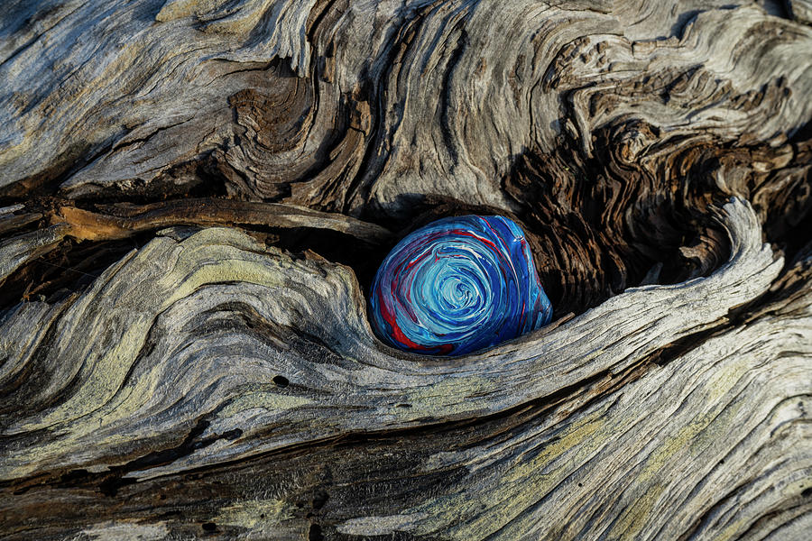 Textural Swirls Photograph by Robert Potts