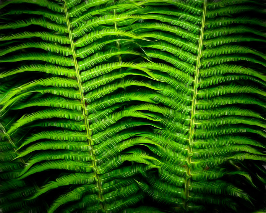 Texture and background Ferns Digital Art by Alessandra RC
