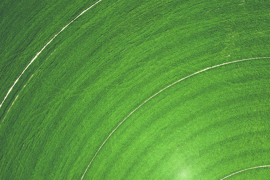 Texture Green 1 Photograph by Ryan Lima