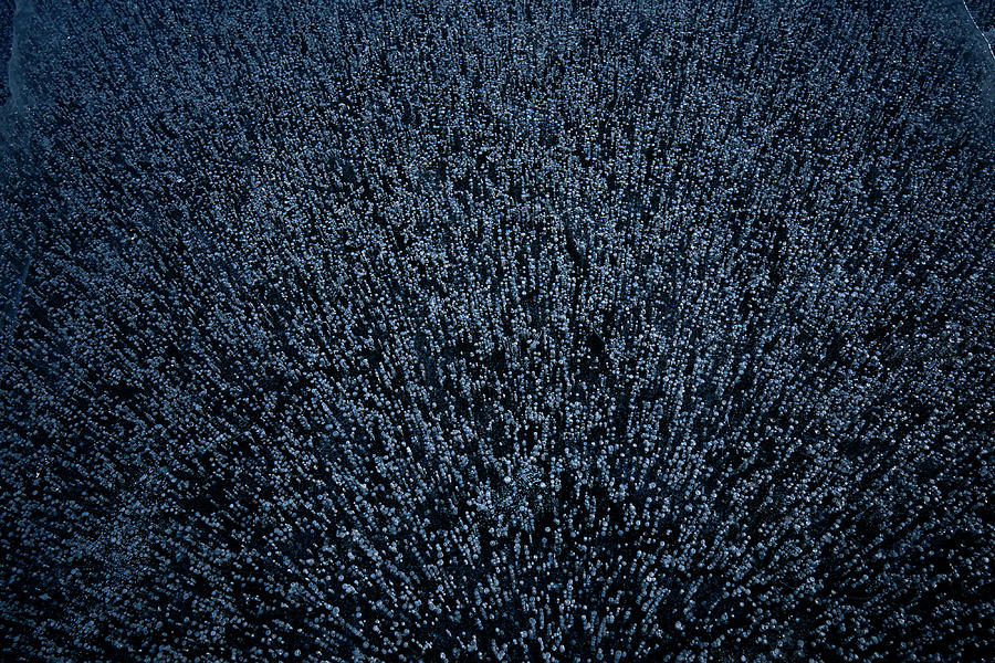 Texture Of Frozen Lake  Photograph by Julieta Belmont