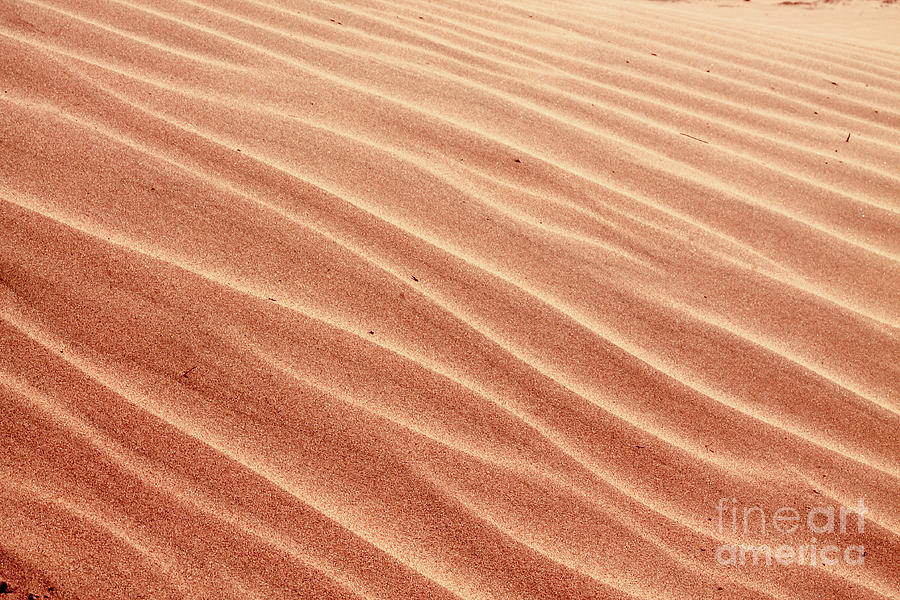 Texture Of The Desert Sand Photograph