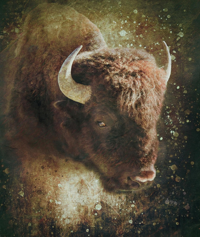 Textured Bison Portrait Mixed Media by Dan Sproul