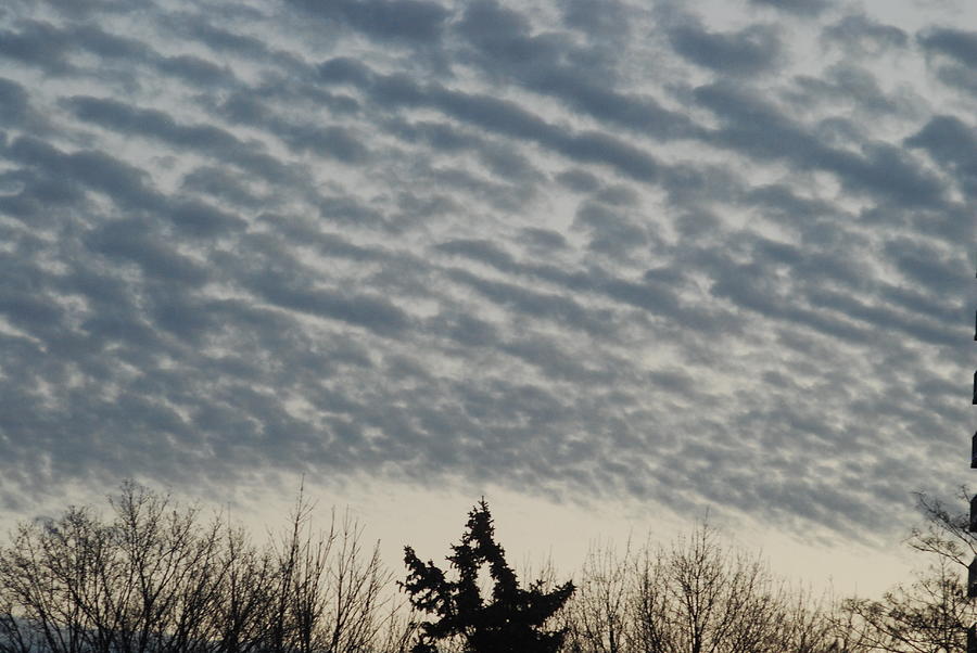 Textured Clouds Photograph