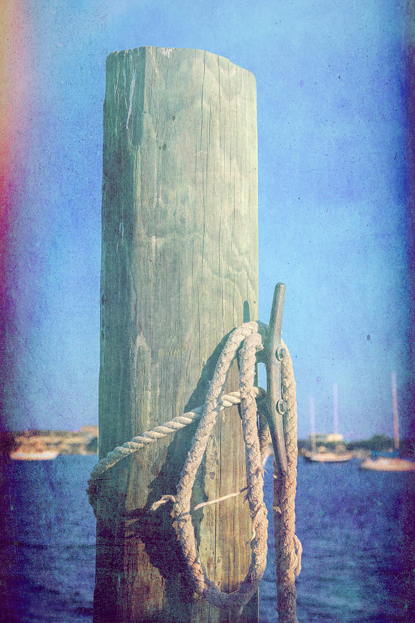 Textured Dock Post Photograph by Dan Sproul