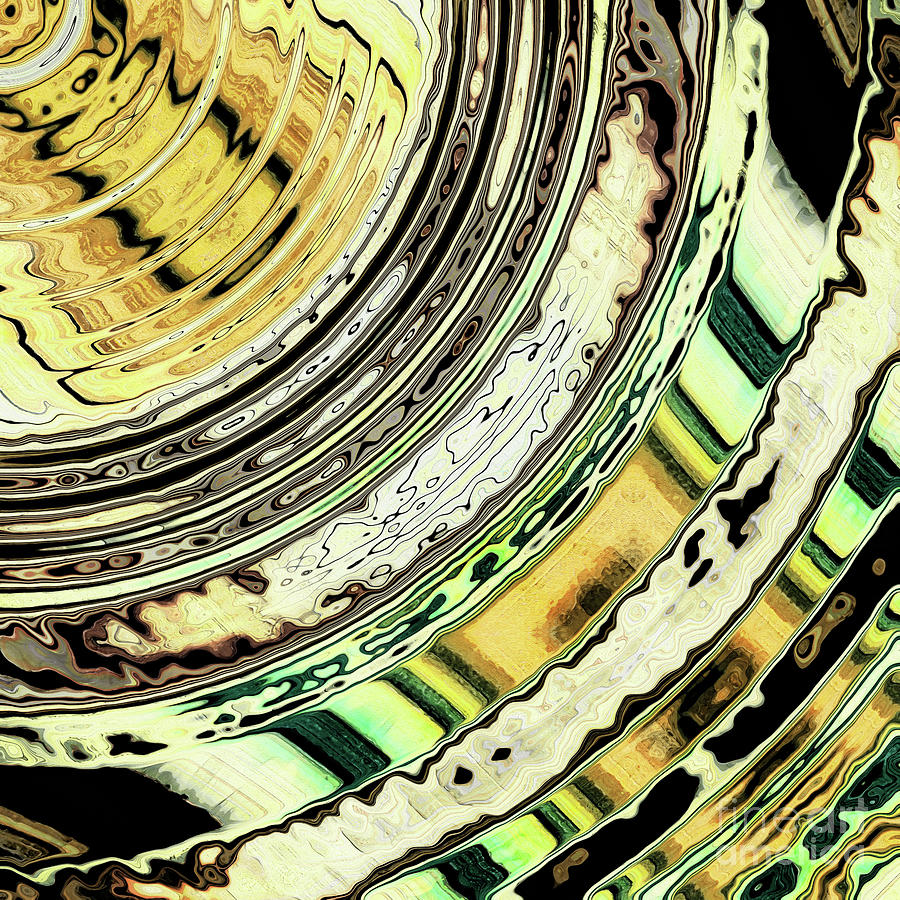Textured Earth Tone Rings Digital Art by Phil Perkins