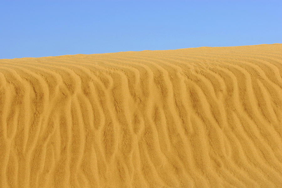 Textured golden sand Photograph by Severija Kirilovaite