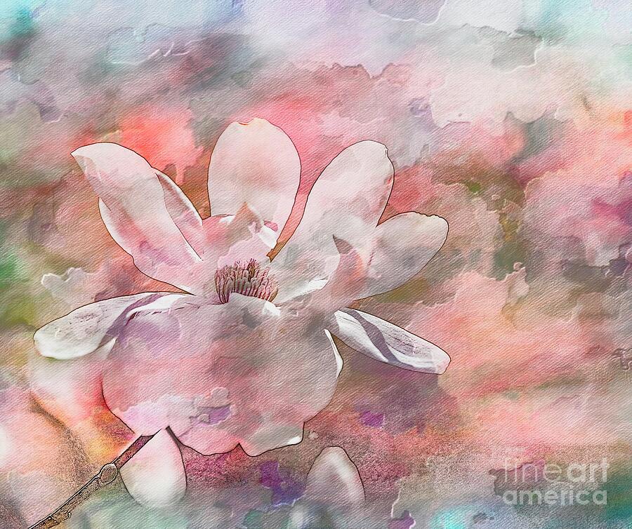 Textured Magnolia Photograph by Cathy Donohoue